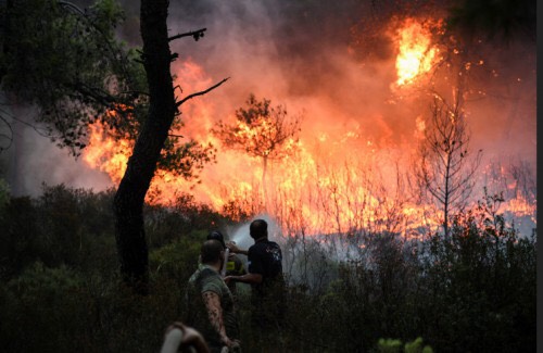 Έκκληση για αιμοδοσία σε όσους φοιτητές βρίσκονται στην Ελλάδα